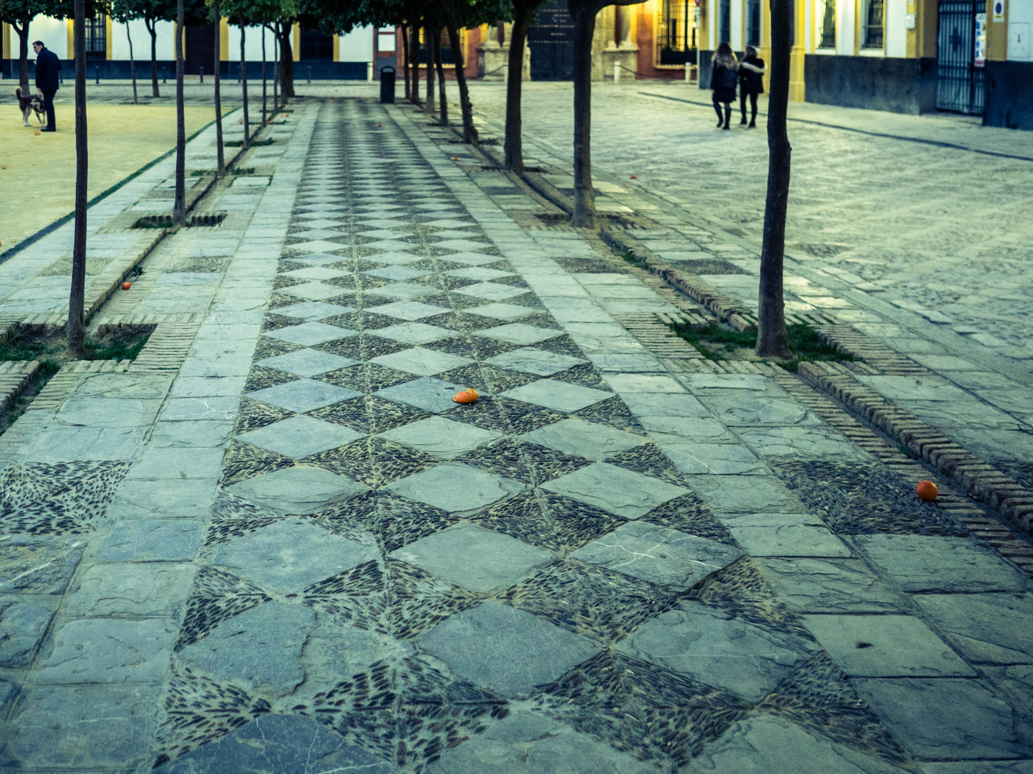 Camminamento geometrico